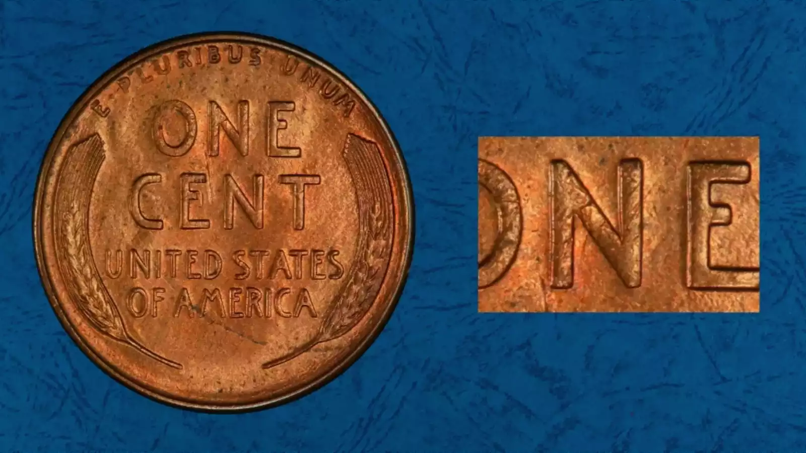 1924 wheat penny DDR-001 close-up of reverse showing doubled E PLURIBUS UNUM lettering and wheat stalks